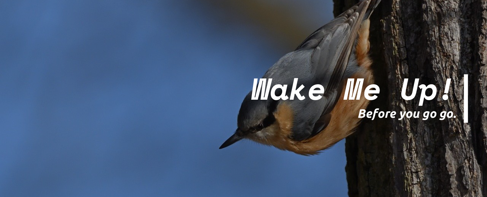 Ürünlerimiz Daha Dayanıklı